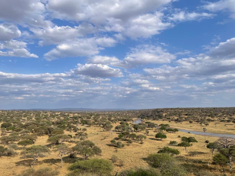 サバナ気候の荒野