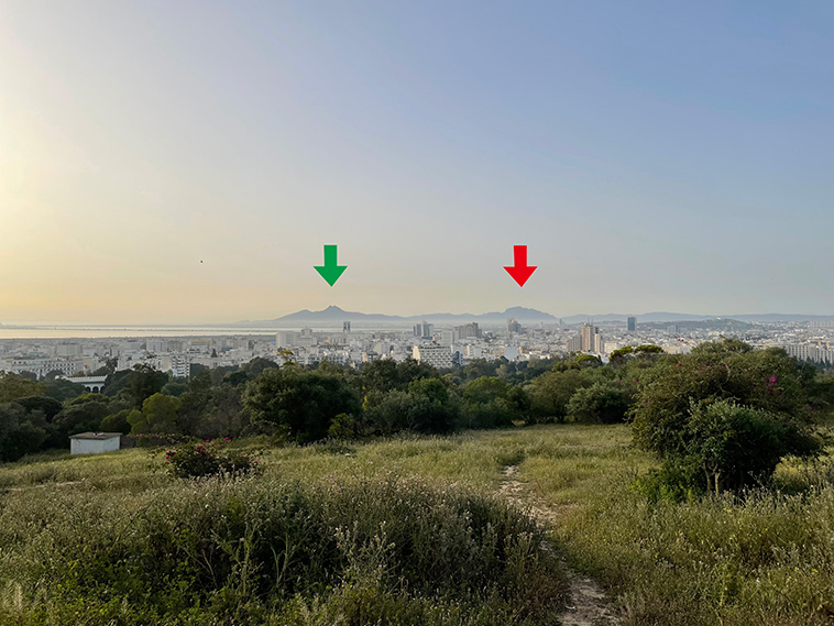 公園から二つだけコブ（山）が見えた