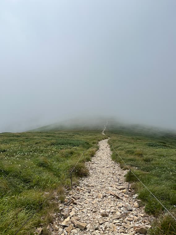 広大なたいらっぴょうへの道
