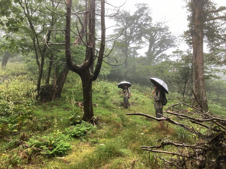久々に雨の中歩く