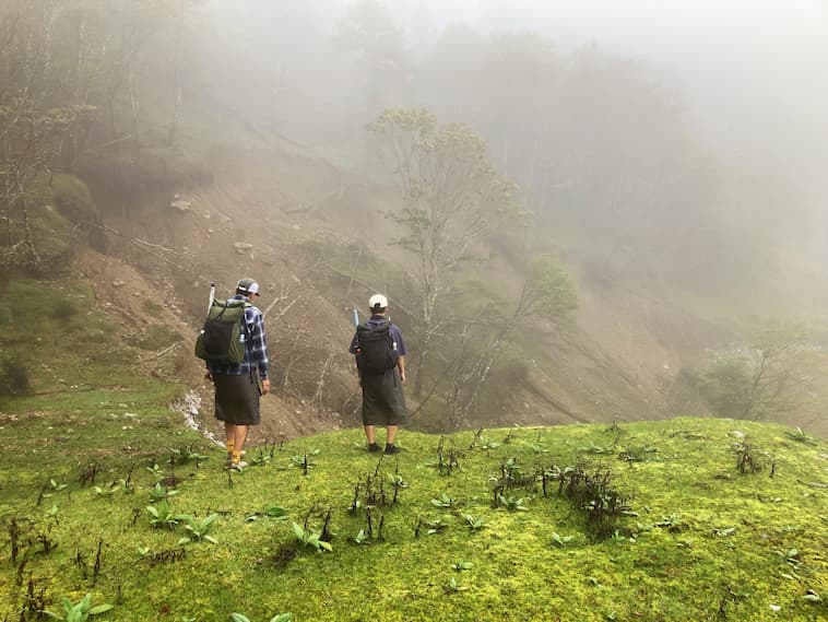 タンナトリカブト群生地