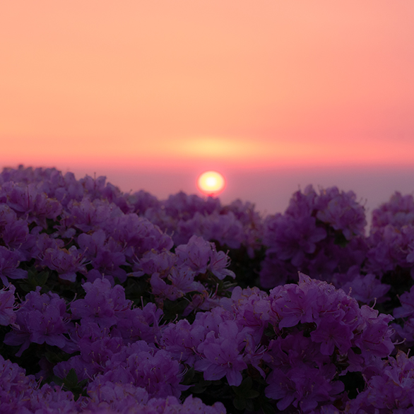 平治岳阿蘇高岳東峰