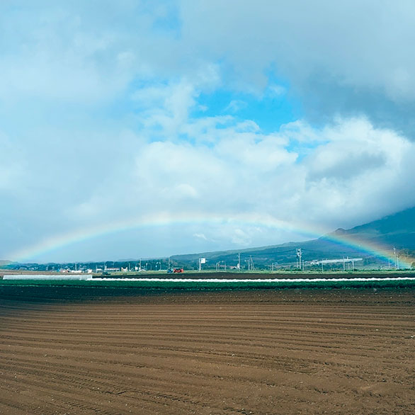 南国のような激しい雨がまだ降り止まないうちに、雲が切れて光がさすと青空へのゲートのような虹がかかっていた