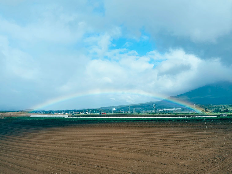 夕暮れの羊蹄山
